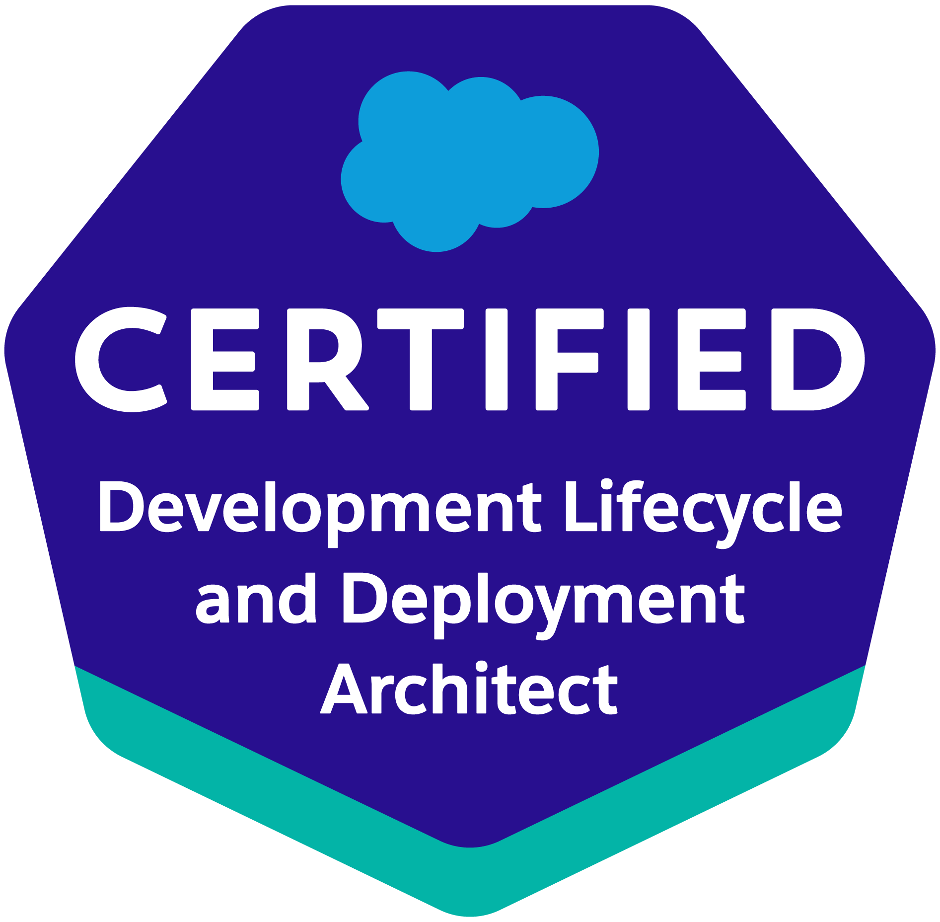 Development Lifecycle and Deployment Architect