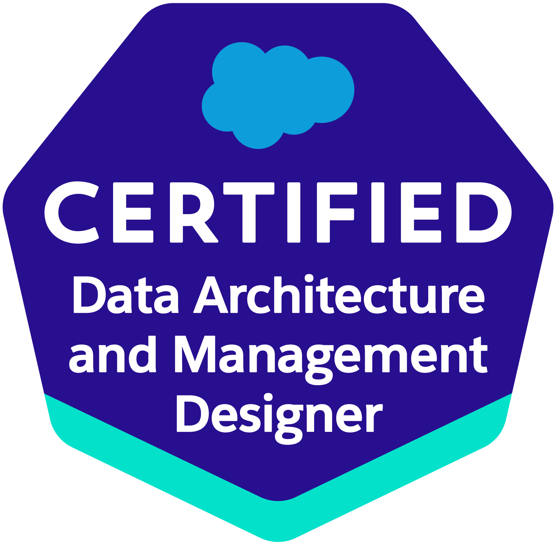 Data Architecture and Management Designer