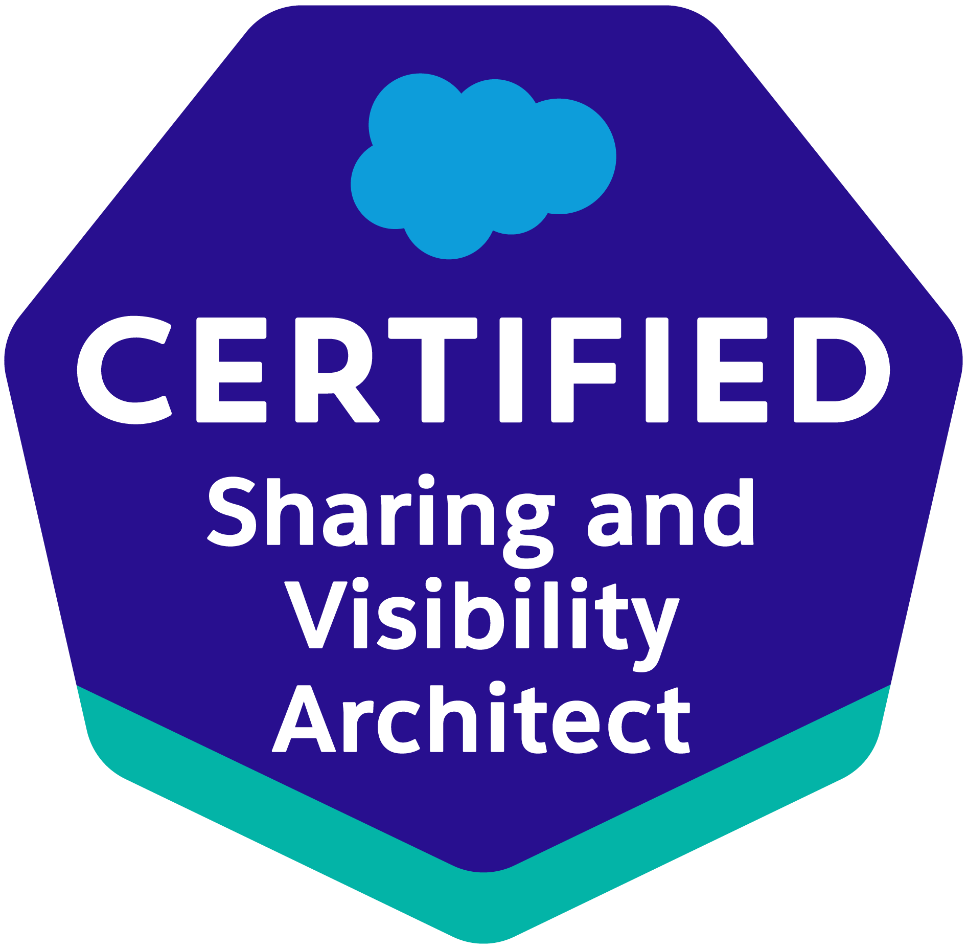 Sharing and Visibility Architect