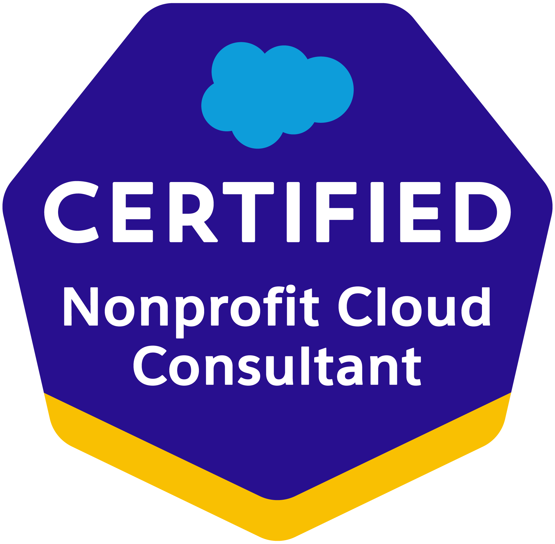 Nonprofit Cloud Consultant