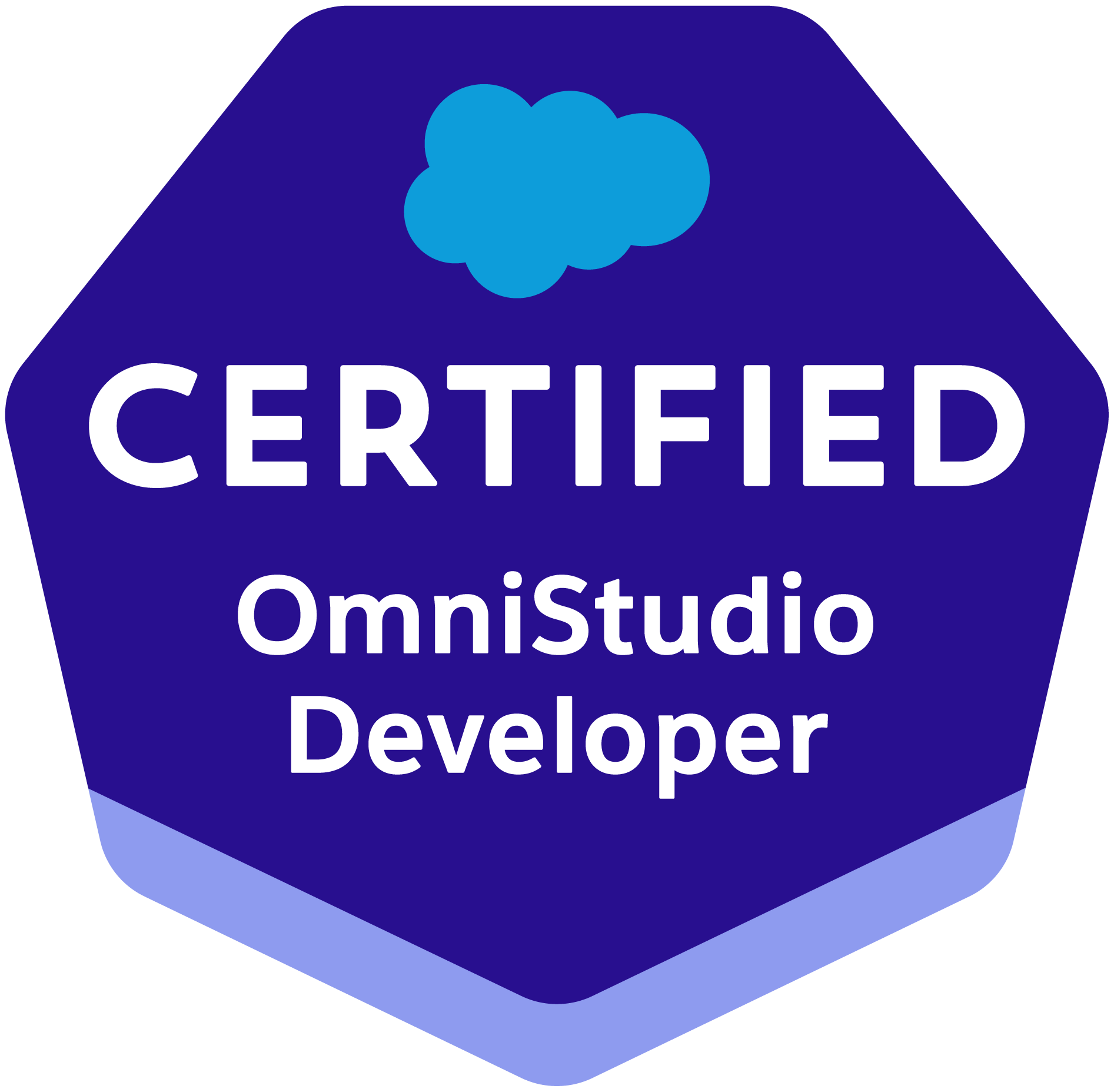 OmniStudio Developer